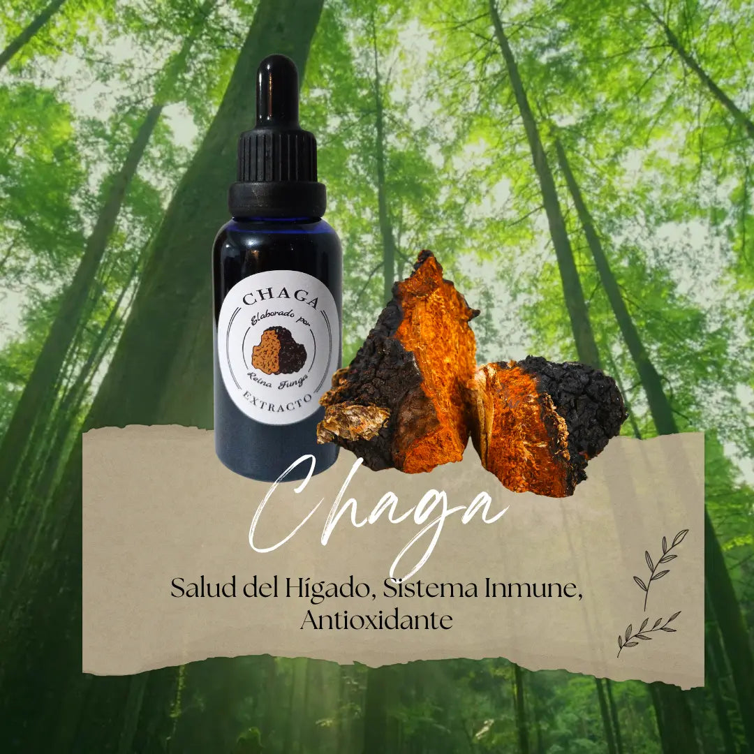 Doble Extracto Chaga - Antioxidante potente y apoyo inmunológico natural