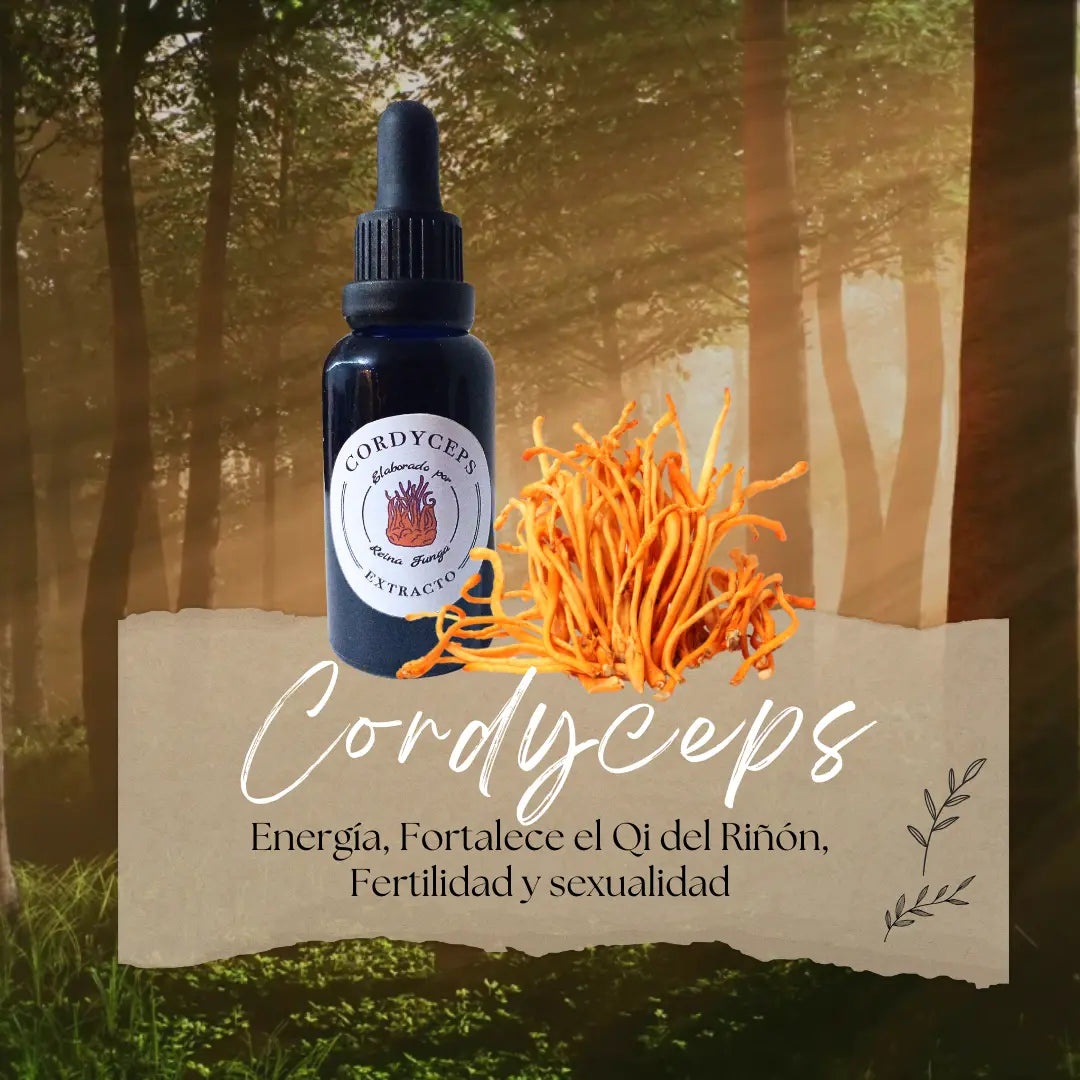 Extracto doble Cordyceps militaris  - Energía, resistencia y vitalidad natural