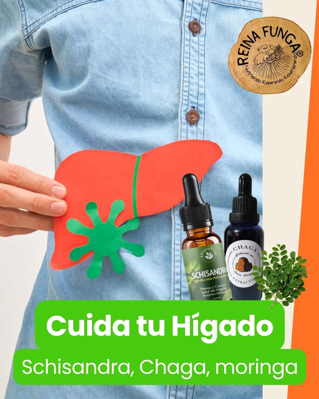 Adaptógenos salud del Hígado