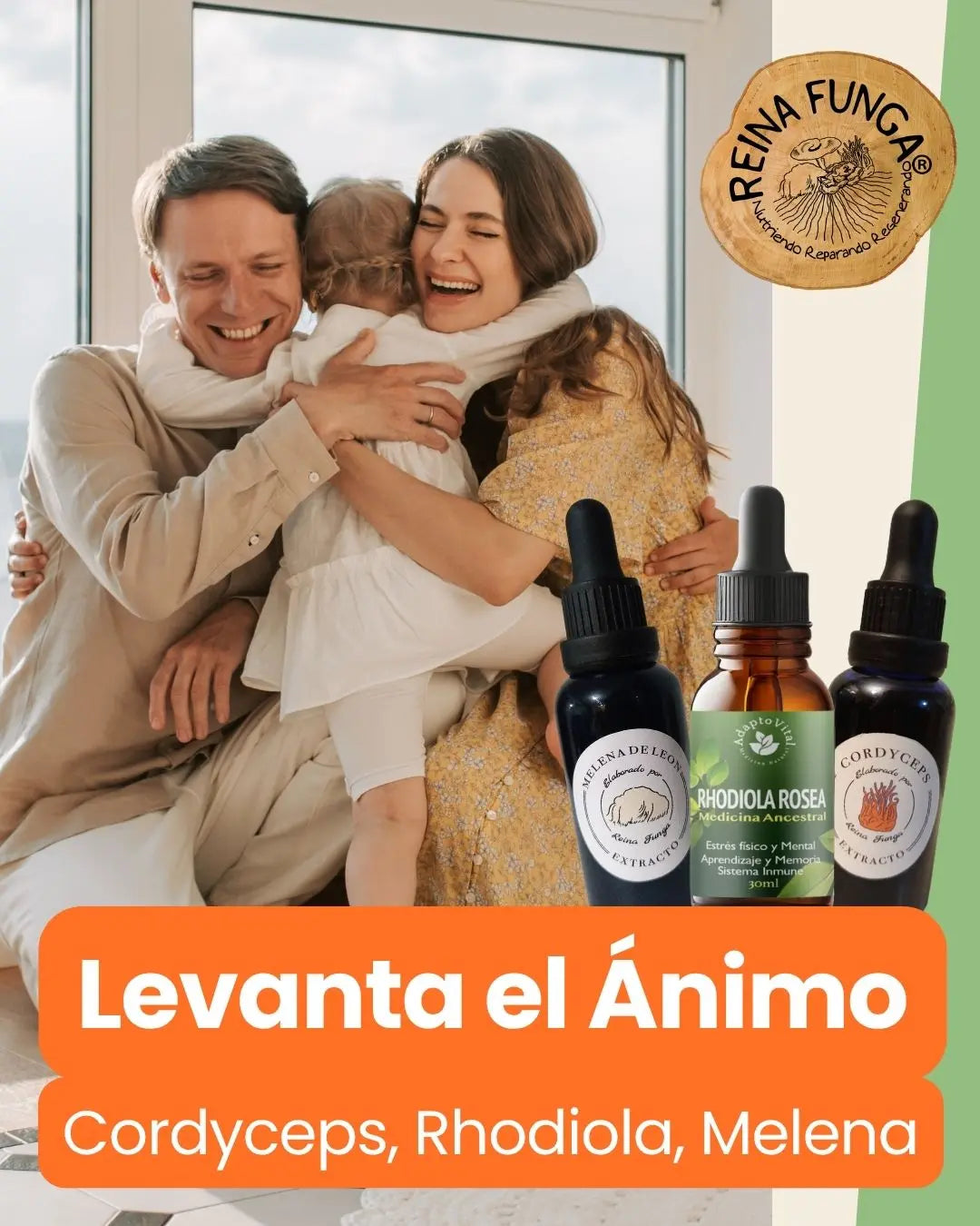 Adaptógenos para equilibrio emocional, mental y físico
