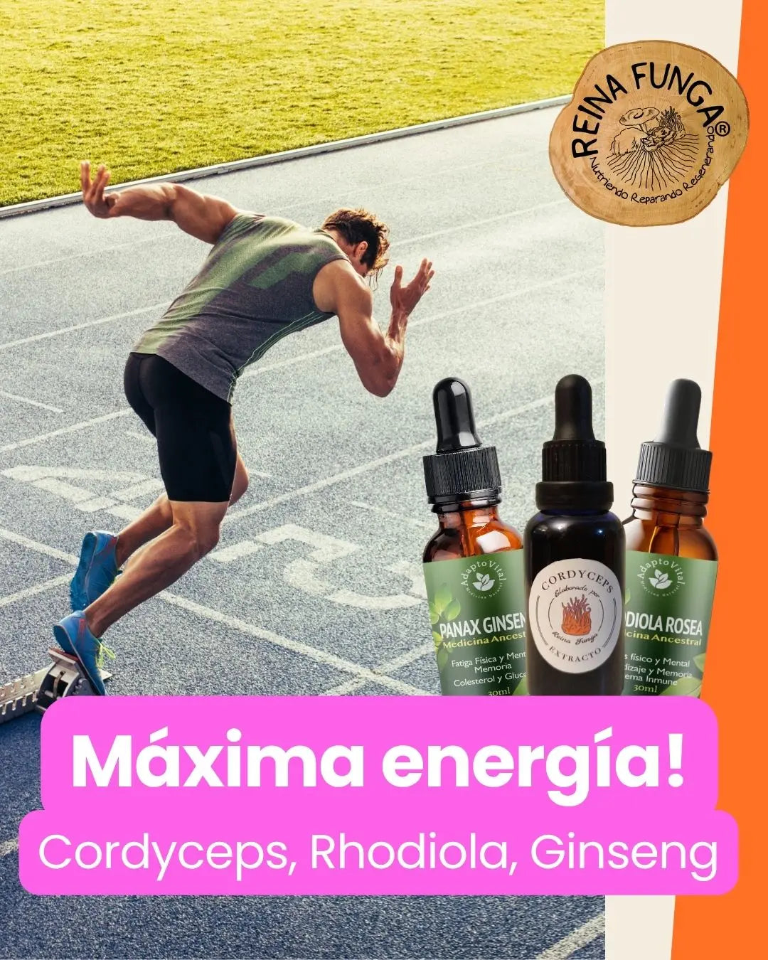 Pack adaptógenos energizantes naturales