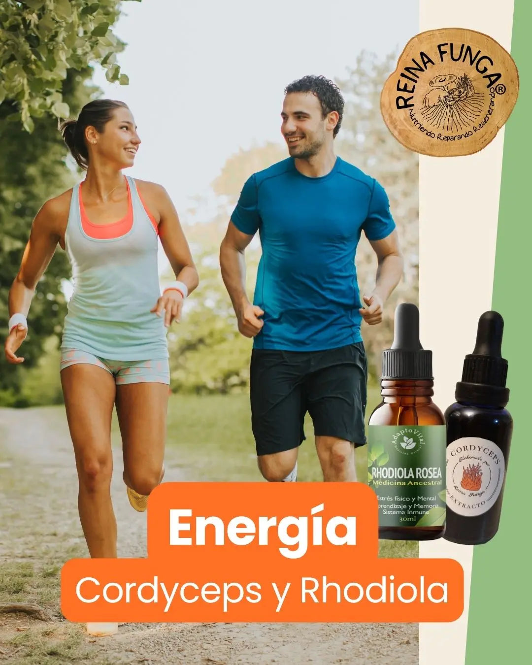 Adaptógenos para la energía- Cordyceps-Rhodiola