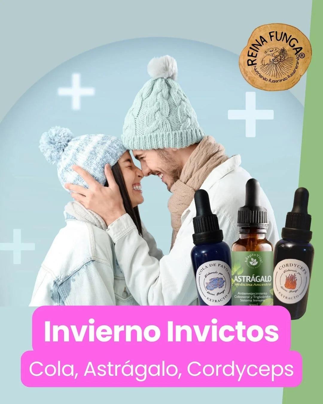 PACK Invierno Invictos (Cola, Astragalo y Cordy)