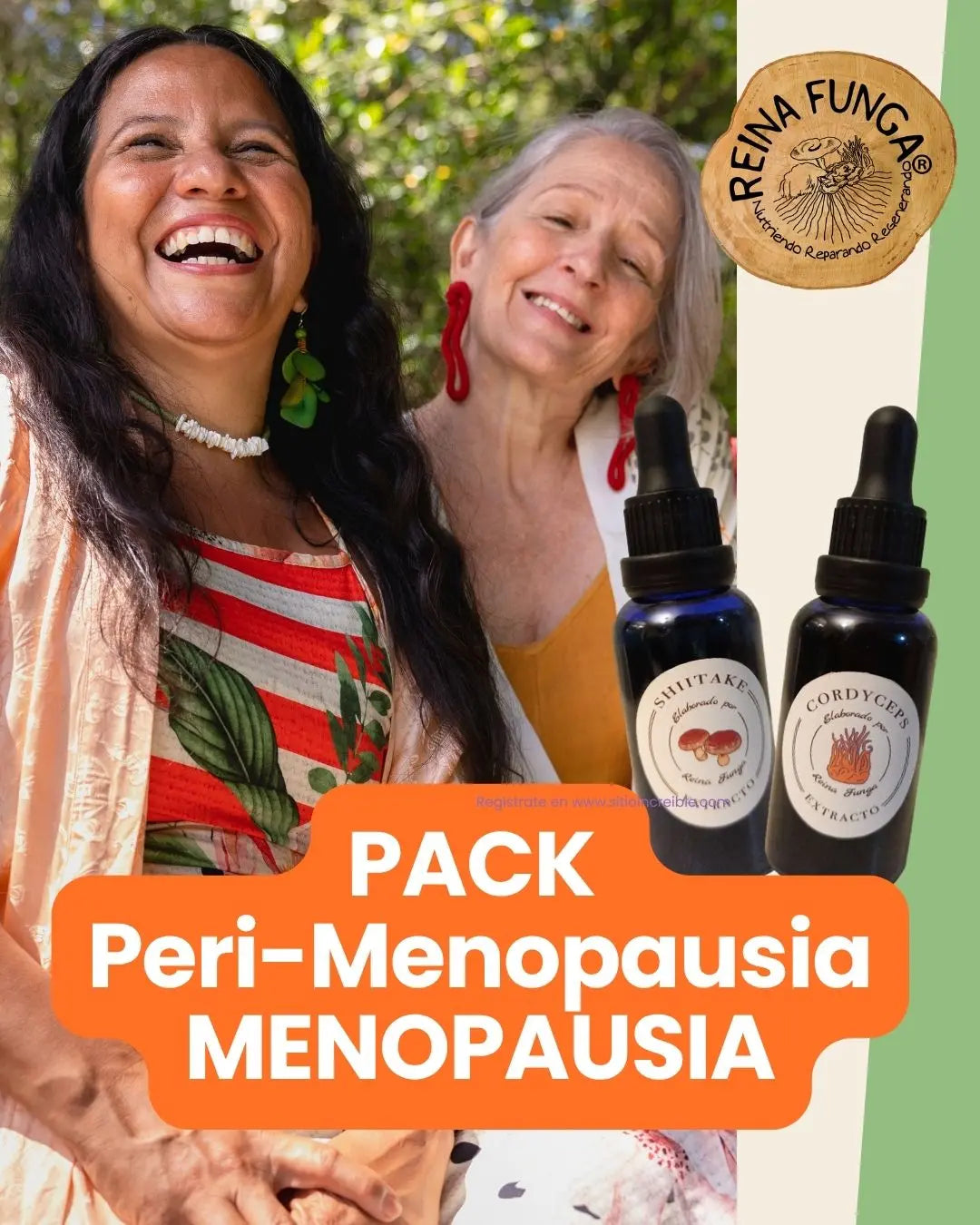 Adaptógenos perimenopausia, menopausia-Cordyceps-Shiitake
