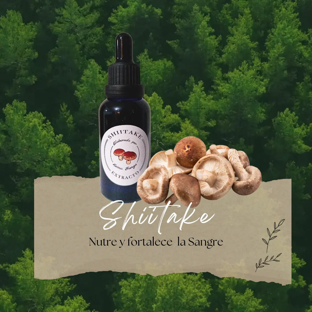 Extracto doble  Shiitake - Sistema inmune y salud cardiovascular