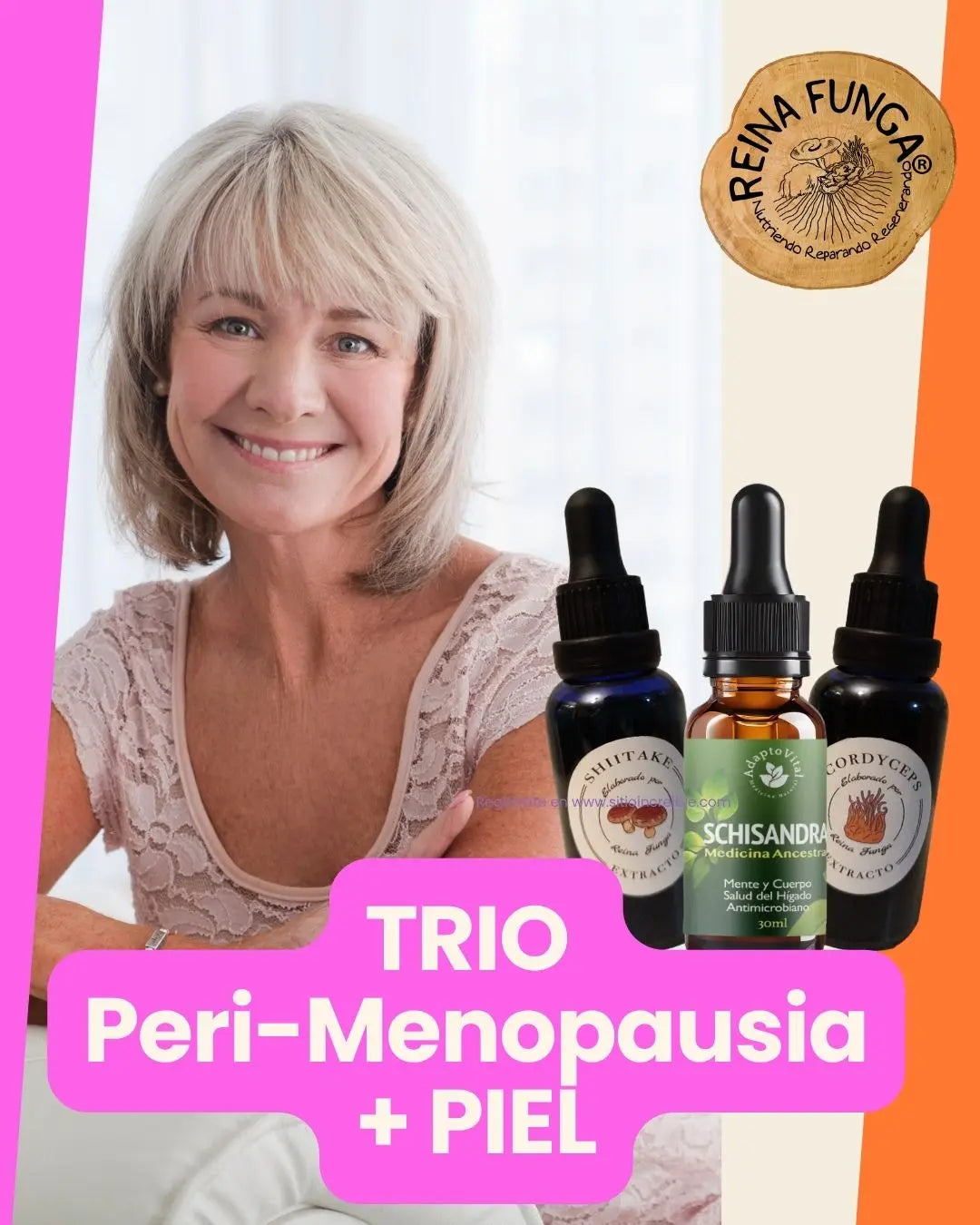 Adaptógenos perimenopausia menopausia- Cordyceps-Shiitake-Schisandra