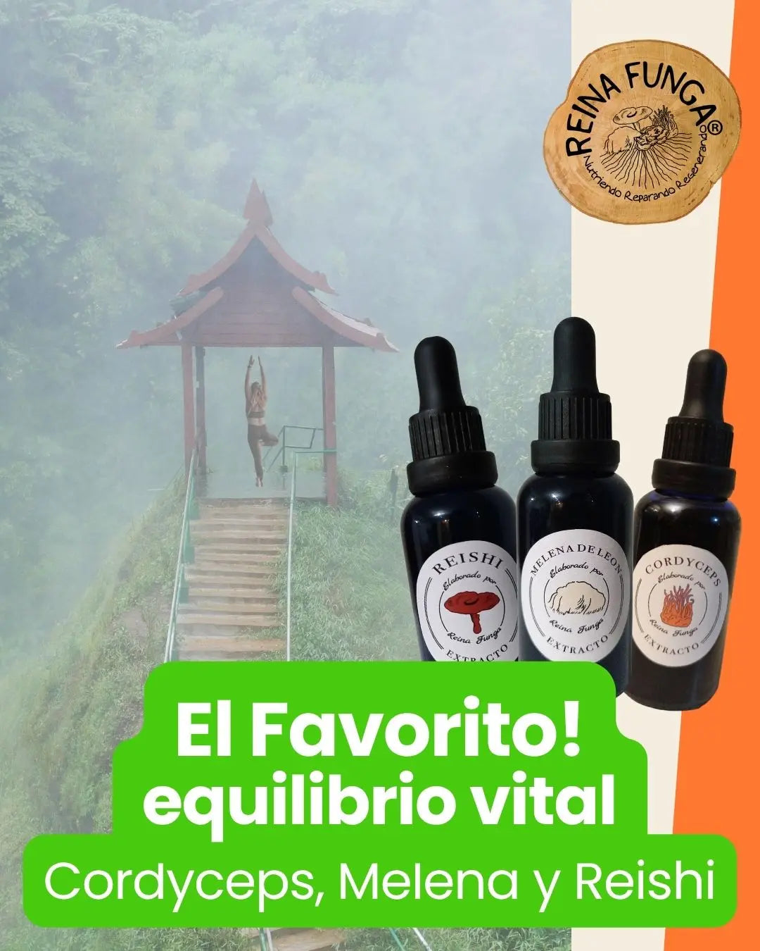 Adaptógenos esenciales-Melena de león-Cordyceps- Reishi