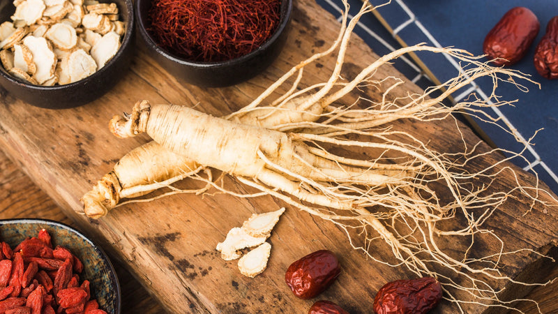 Panax Ginseng