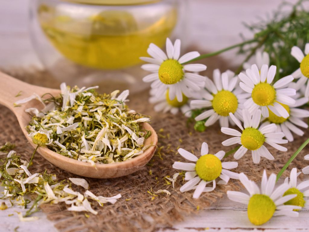 Manzanilla - Hierba seca